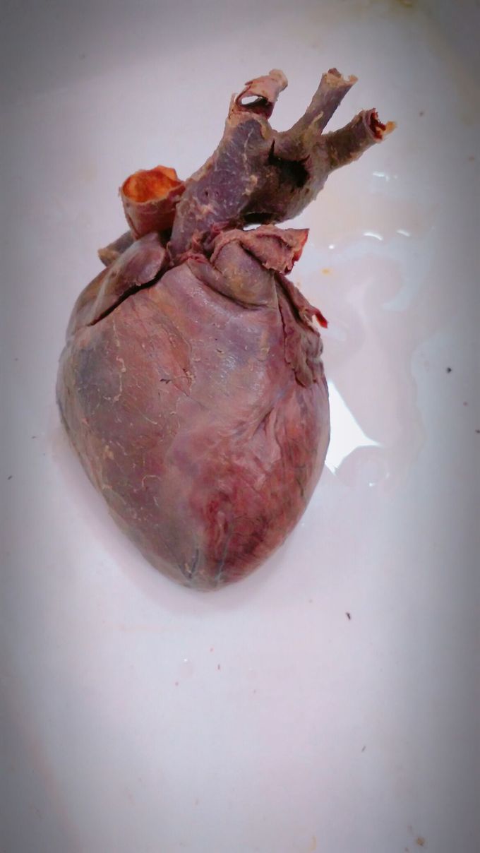 # heart