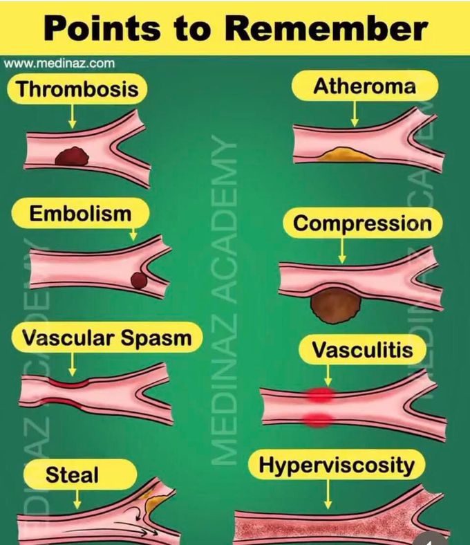 pathology