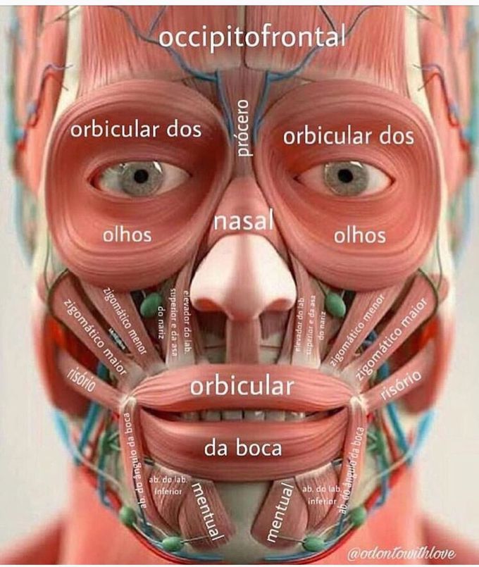 Facial muscles😱🔴♥️