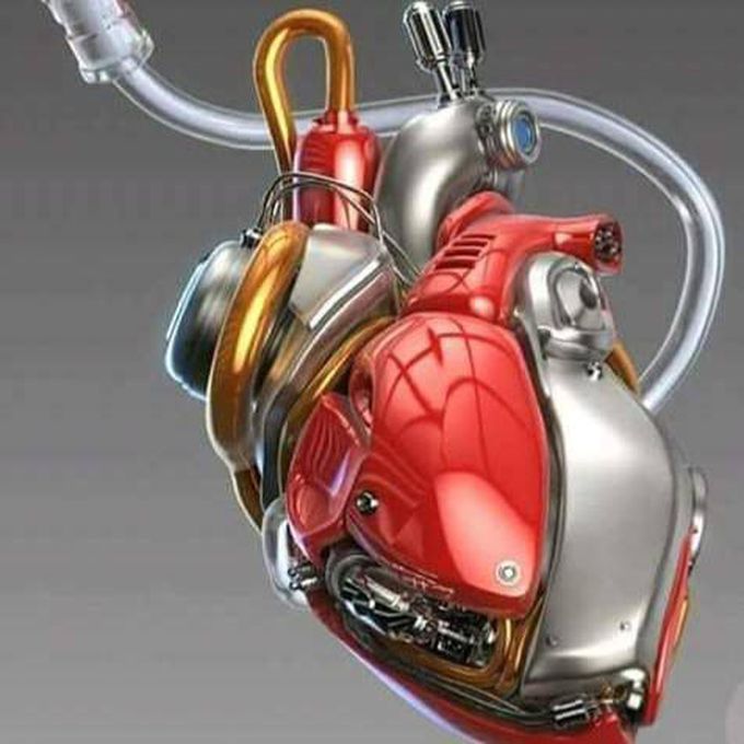 An. Metallic heart with pacemker