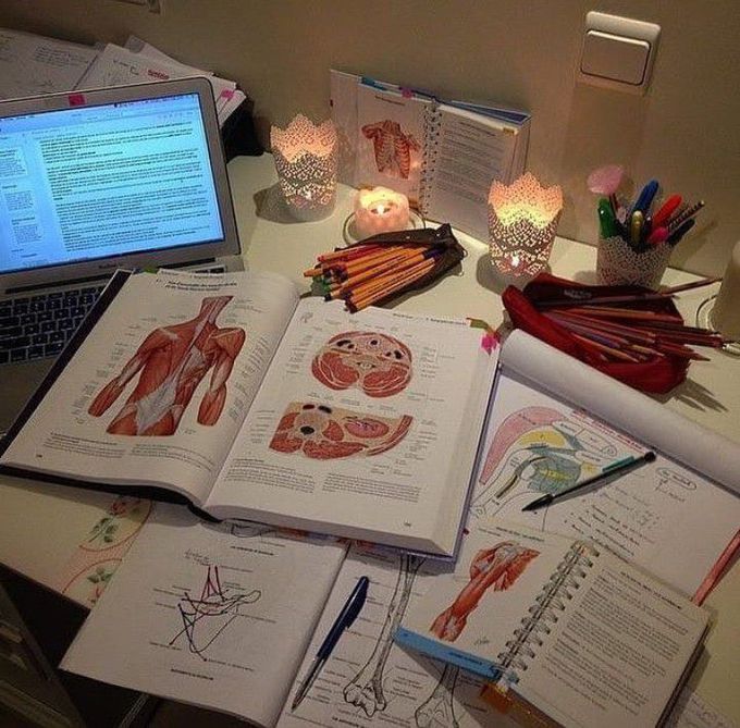 Anatomy