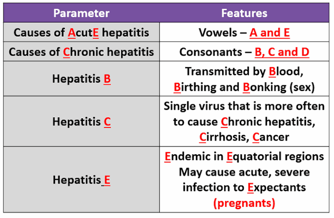 Hepatitis Virus mnemonic