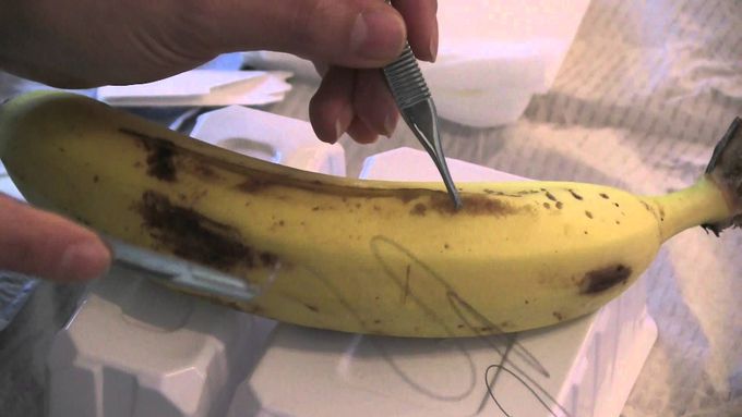 How to Suture