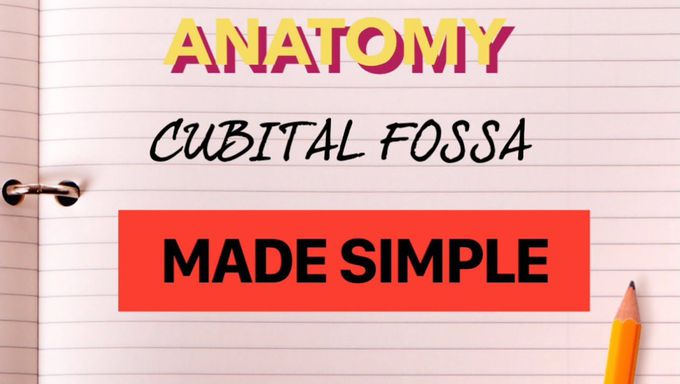 CUBITAL FOSSA | ANATOMY | UPPER LIMB