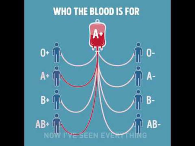 Which blood group can be donated to whom? 🤔