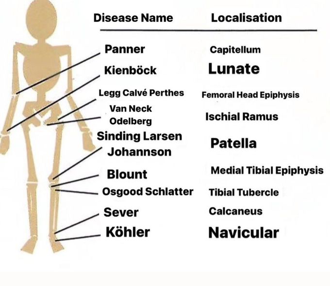 Bone Diseases