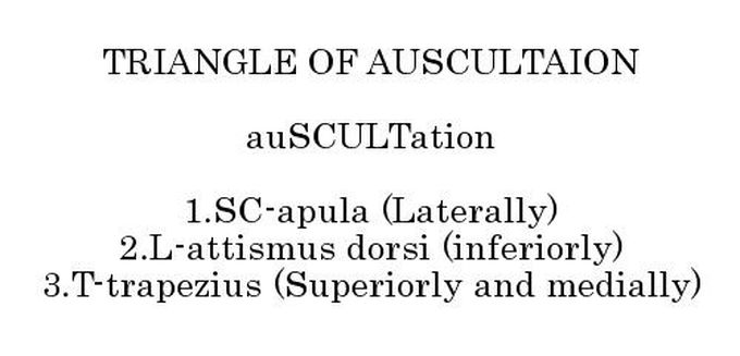 Triangle of auscultation- remember it by SCULT!