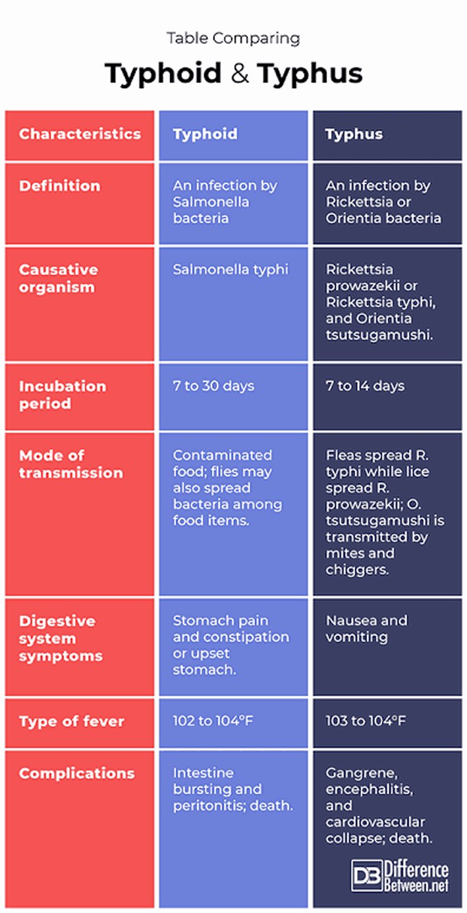 Typhoid and typhus