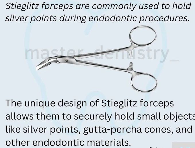 Stieglitz's Forceps