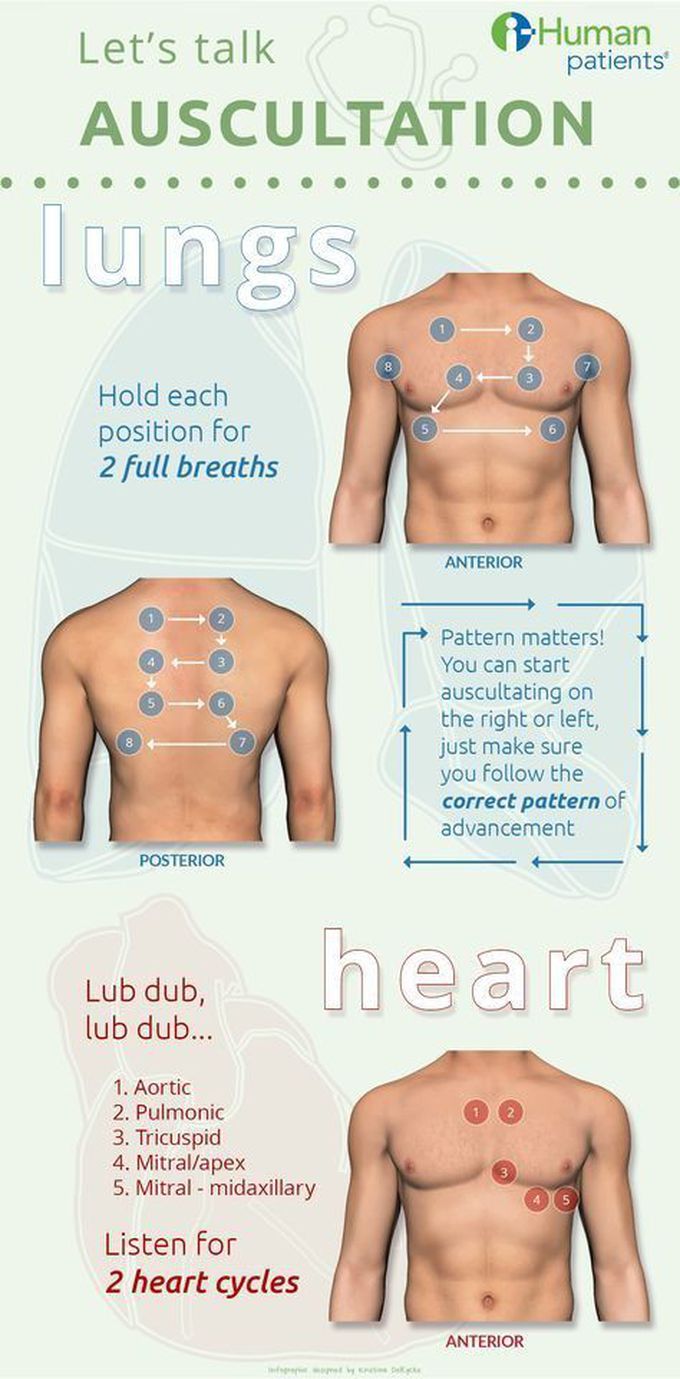 Ascultation lungs