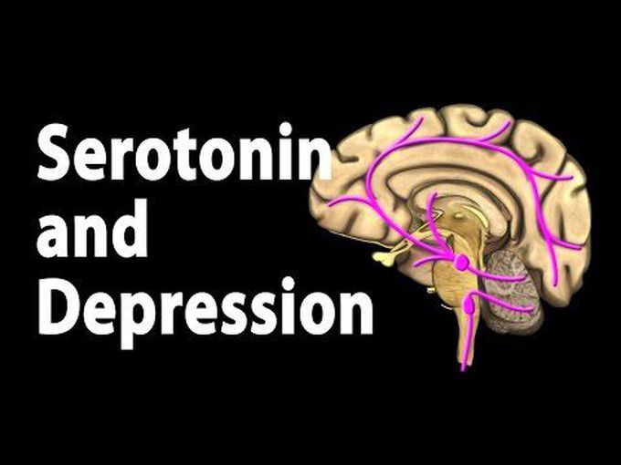 Serotonin-Animation video