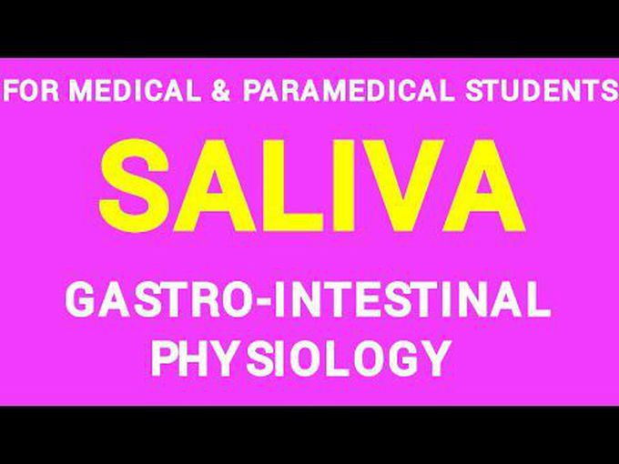 Physiology of saliva