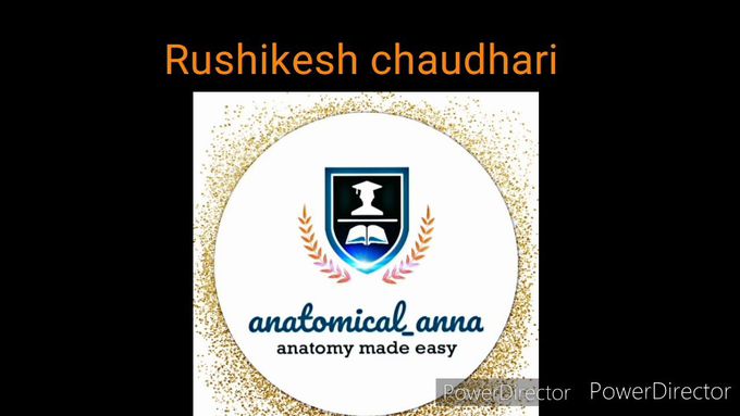 GLUTEAL MUSCLES  In (Hinglish)