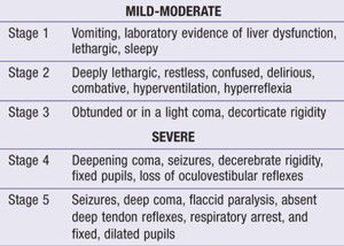 This is the clinical staging system of Reye syndrome