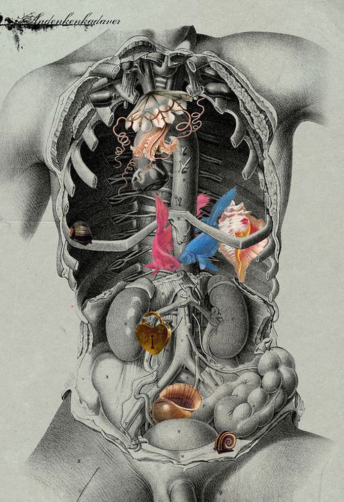 Anatomy is art don't u all agree