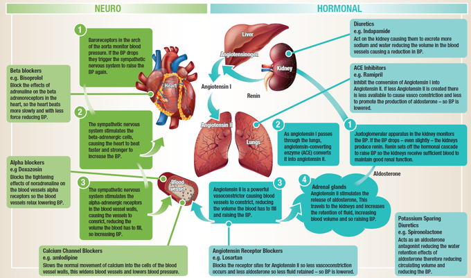 HYPERTENSION