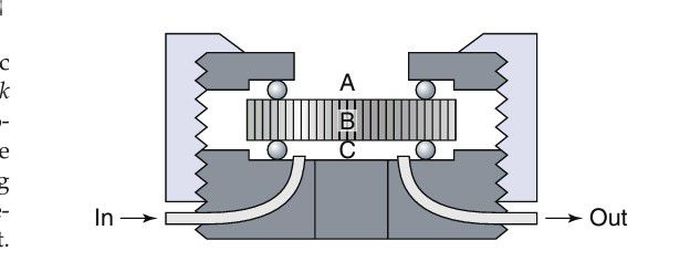 Dentin disk barrier test method.