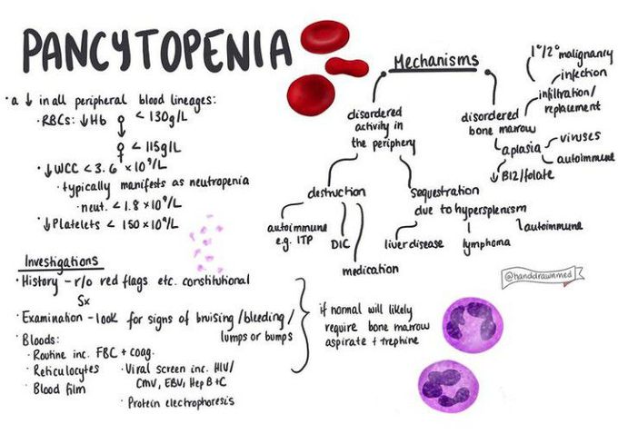 Pancytopenia