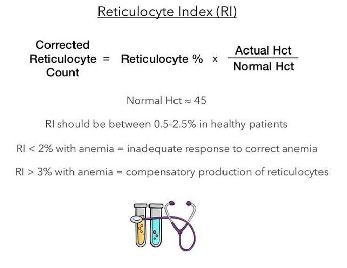 Reticulocyte Index