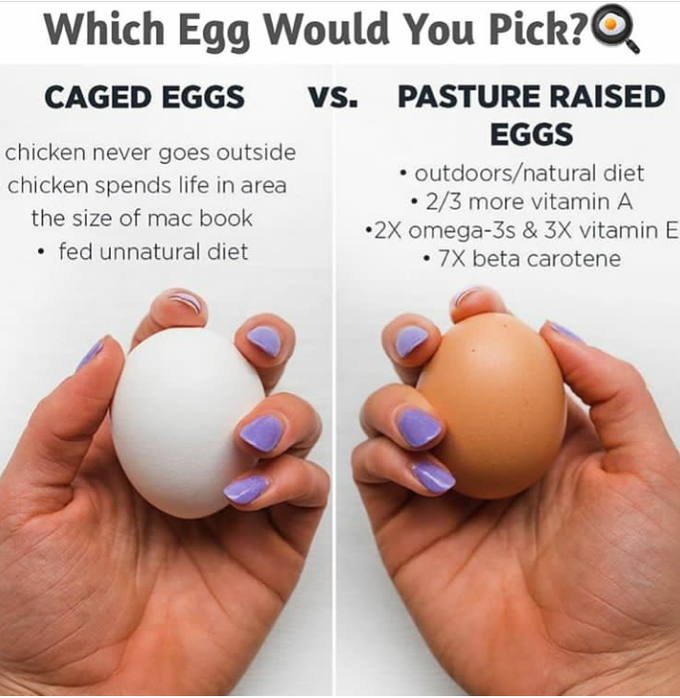 Egg 😋😋