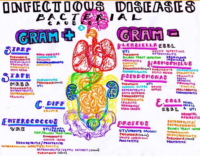 Infectious bacterial diseases and where to find them