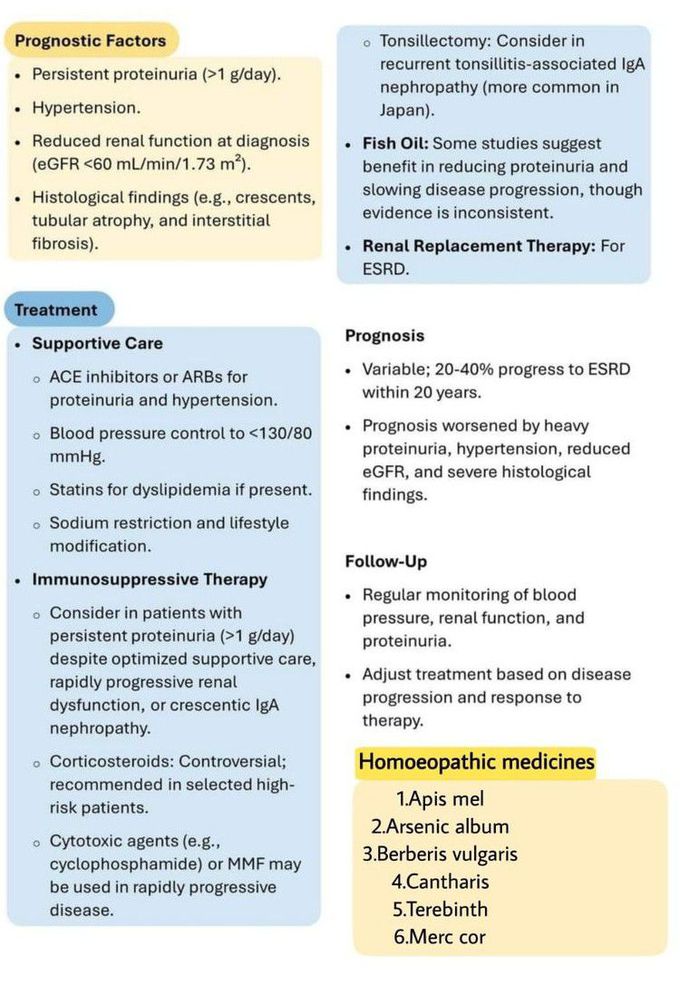 IgA Nephropathy III