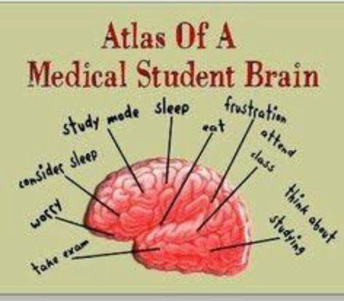 Medical student