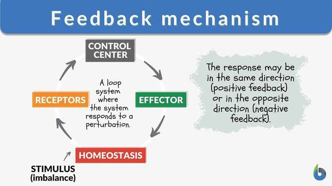 Negative feedback