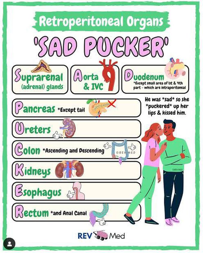 Retroperitoneal structure mnemonic