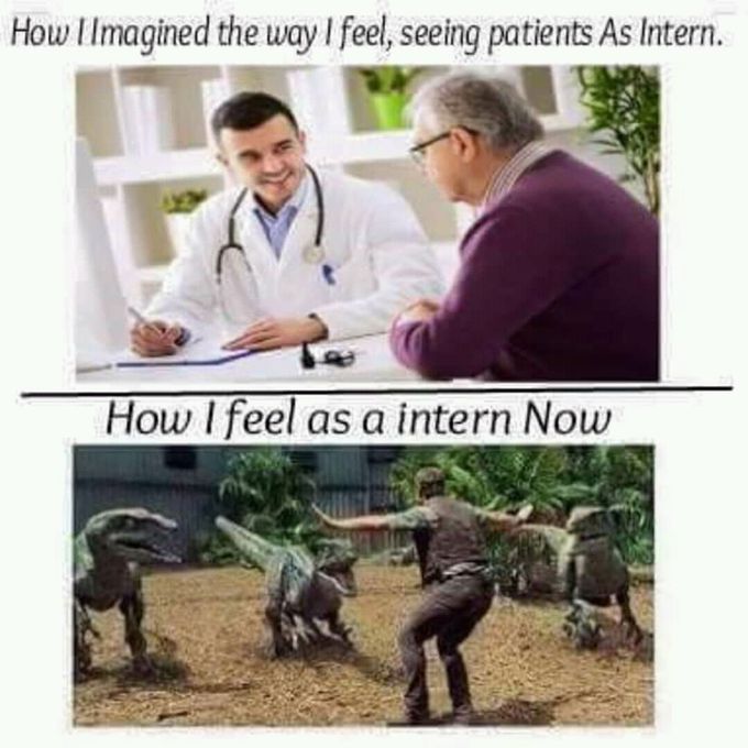 Internship is one hell of an experience