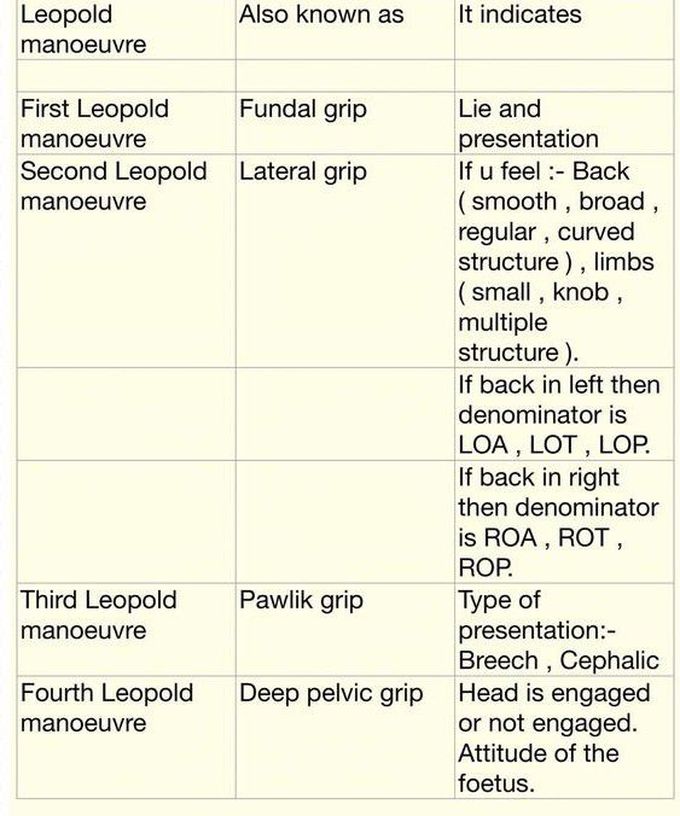 Leopold Maneuver Types MEDizzy