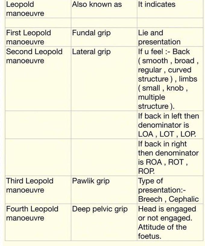 Leopold Maneuver - Types