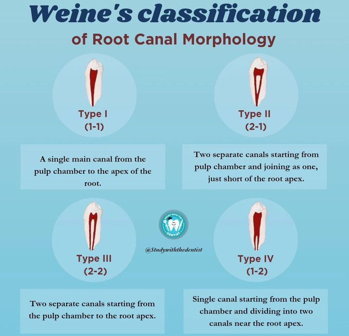 Weine's Classification