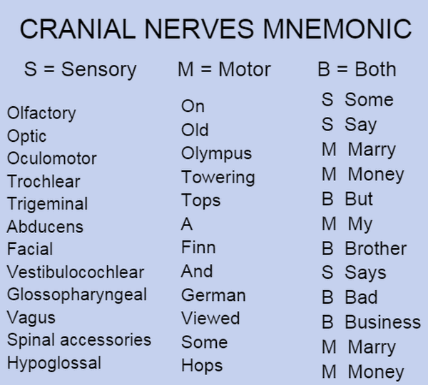 Cranial Nerve Mnemonics