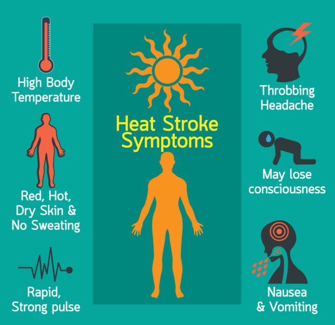 Symptoms of Heat Stroke
