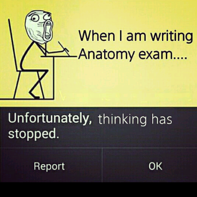 Tell me its true or not