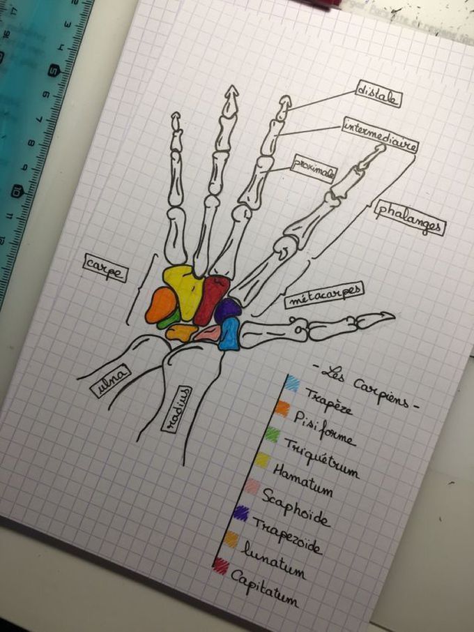 Jst enjoy with anatomy؛!