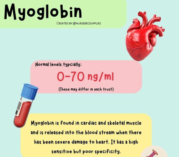 Myoglobin