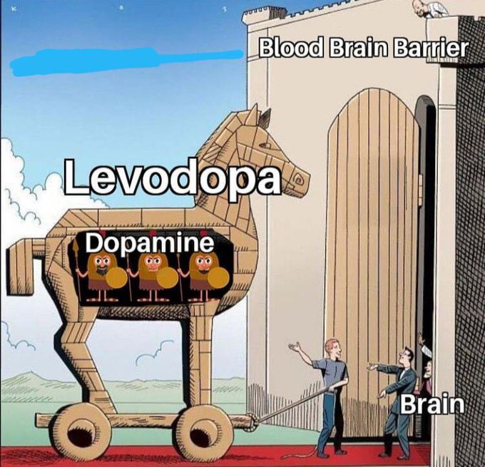 Dopamine  vs bbb