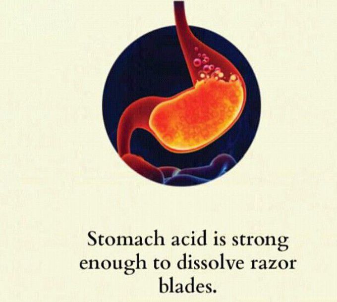 #stomach acid hcl