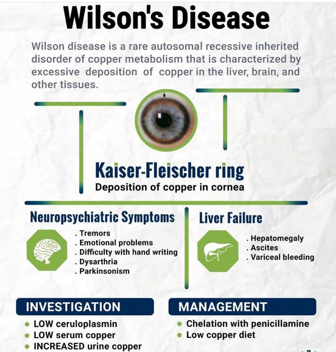 Wilson's Disease