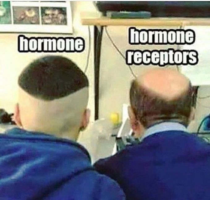 😂😂😂😂