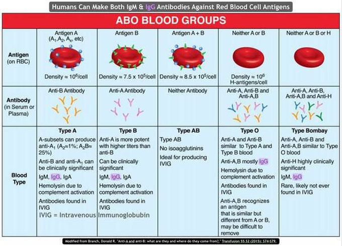 ABO blood Group