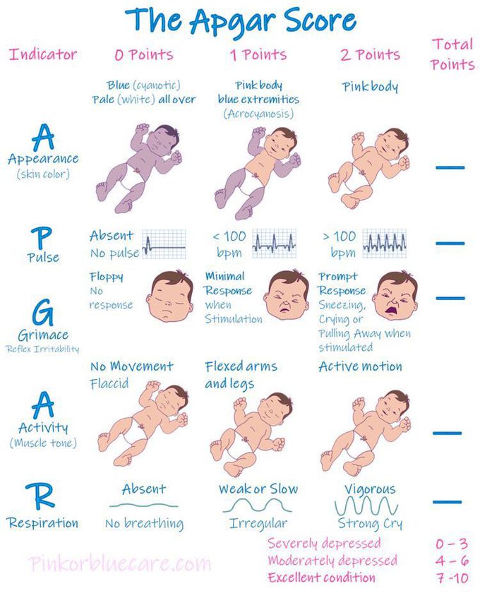 The APGAR Scoring