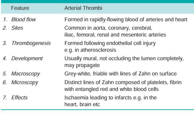 Arterial thrombus