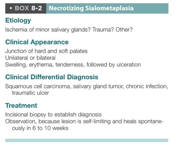 Necrotizing sialometaplasia