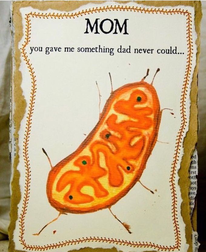 Mom, you gave me something dad never could ...