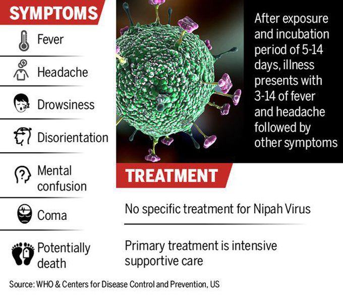 Image: The Nipah Virus Outbreak : All You Need to Know, Latest Updates