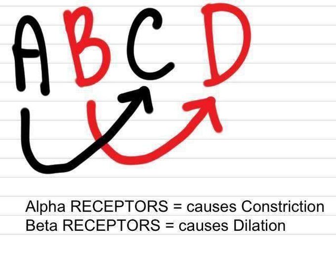 Alpha and Beta Receptors