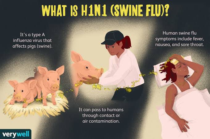 What is swine flu?